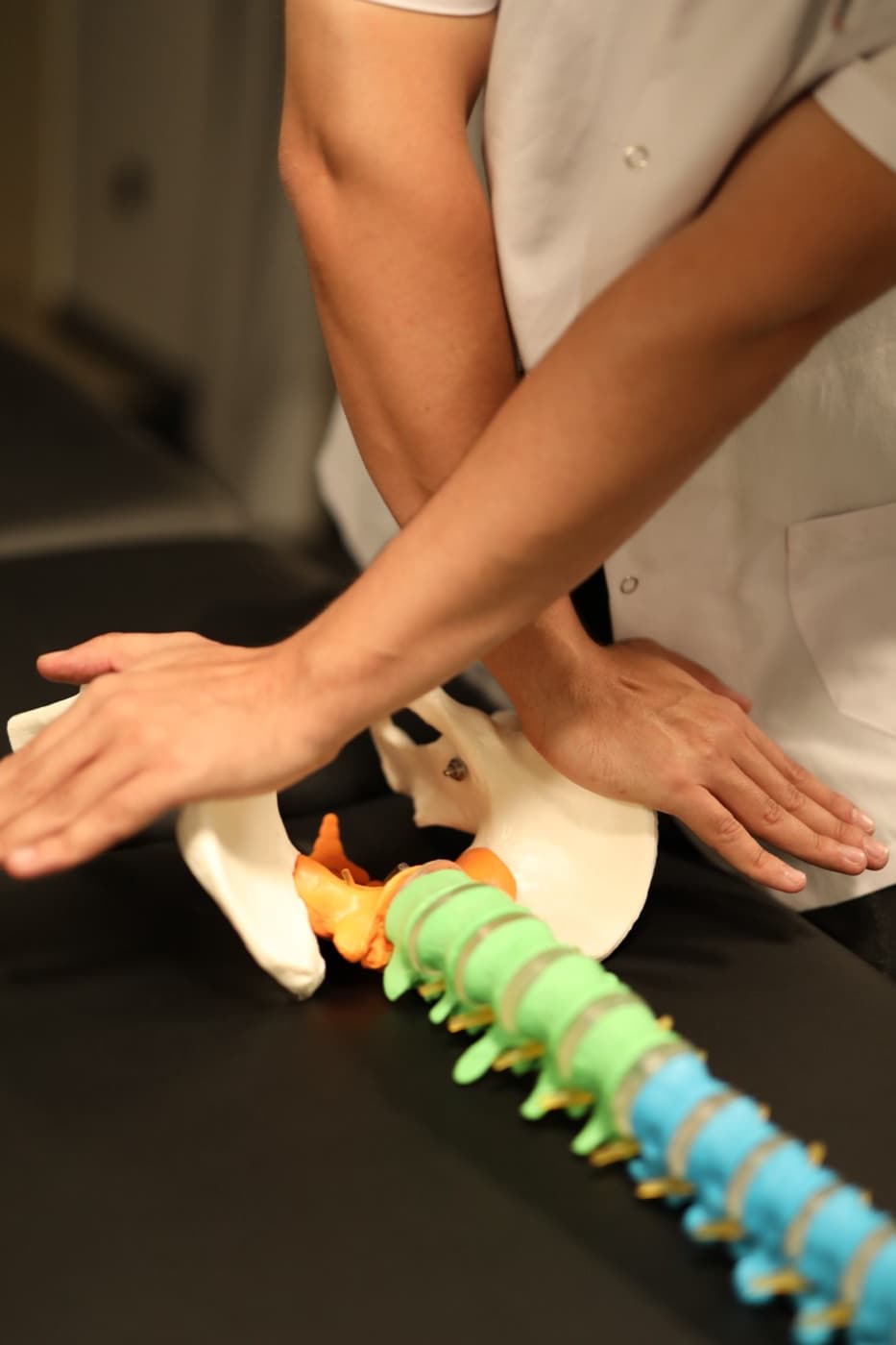 Pelvic Floor Rehabilitation
